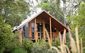 The Canopy Rainforest Treehouses & Wildlife Sanctuary